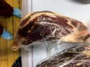 大庄园进口原切牛腱子净重2斤 草饲生鲜牛肉酱卤炖煮食材【真原切】 实拍图