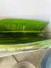 北寻记西芹原汁饮500ml 西芹汁蔬菜汁芹菜汁鲜榨无糖轻断食液体沙拉 实拍图