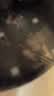 白荡里黑猪筒骨 大骨熬汤猪棒骨鲜香浓郁 带肉率30% 筒骨4斤 实拍图