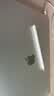 Apple/苹果 Pencil(USB-C) 磁吸触控笔手写笔苹果笔电容笔iPad笔 适用iPad(A16)/mini/Pro/Air 实拍图