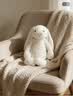 Jellycat害羞乳白色邦尼兔动物毛绒玩偶安抚玩偶娃娃送礼生日新婚礼物 害羞乳白色邦尼兔礼盒装 Medium 实拍图