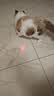 HELLOJOY逗猫激光笔逗猫棒玩具猫藓真菌检测 USB充电三合一红外线激光灯 实拍图