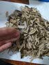 老街口焦糖瓜子500g/袋大颗粒葵花籽炒货休闲零食香瓜子每日坚果 实拍图