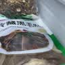 潮夫道冷藏黑毛肚2斤川渝涮火锅食材牛毛肚牛百叶固形物60%麻辣烫冒菜 实拍图