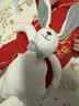 澳贝（auby）婴幼儿玩具抗菌小兔安抚巾宝宝哄睡神器阿贝贝玩偶新生儿满月礼物 实拍图