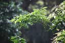 适马（SIGMA）16-300mm f3.5-6.7 DC OS ｜Contemporary 半画幅 远摄变焦镜头 旅游风光人像（RF卡口） 实拍图