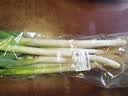 大葱约1kg 实拍图
