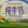 伊利醇好喝新鲜牛奶【3.4g蛋白超瞬时杀菌】整箱950ml*6瓶全脂家庭装 实拍图