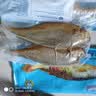海名威 冷冻黄花鱼700g/2条 宁德大黄鱼 海鱼 生鲜鱼类 海鲜水产 中秋 实拍图