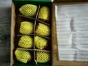 佳沛（zespri）新西兰金奇异果8粒特大果124-146g猕猴桃中秋节礼品送水果礼盒 实拍图