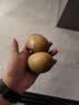 佳沛（zespri）新西兰金奇异果22粒巨大原箱146-175g猕猴桃中秋节礼品送水果礼盒 实拍图