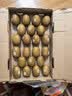 佳沛（zespri）新西兰金奇异果22粒巨大原箱146-175g猕猴桃中秋节礼品送水果礼盒 实拍图