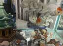 派乐特 鱼缸过滤材料水族火山石陶瓷环细菌球器材用品十二合一滤材1kg 实拍图