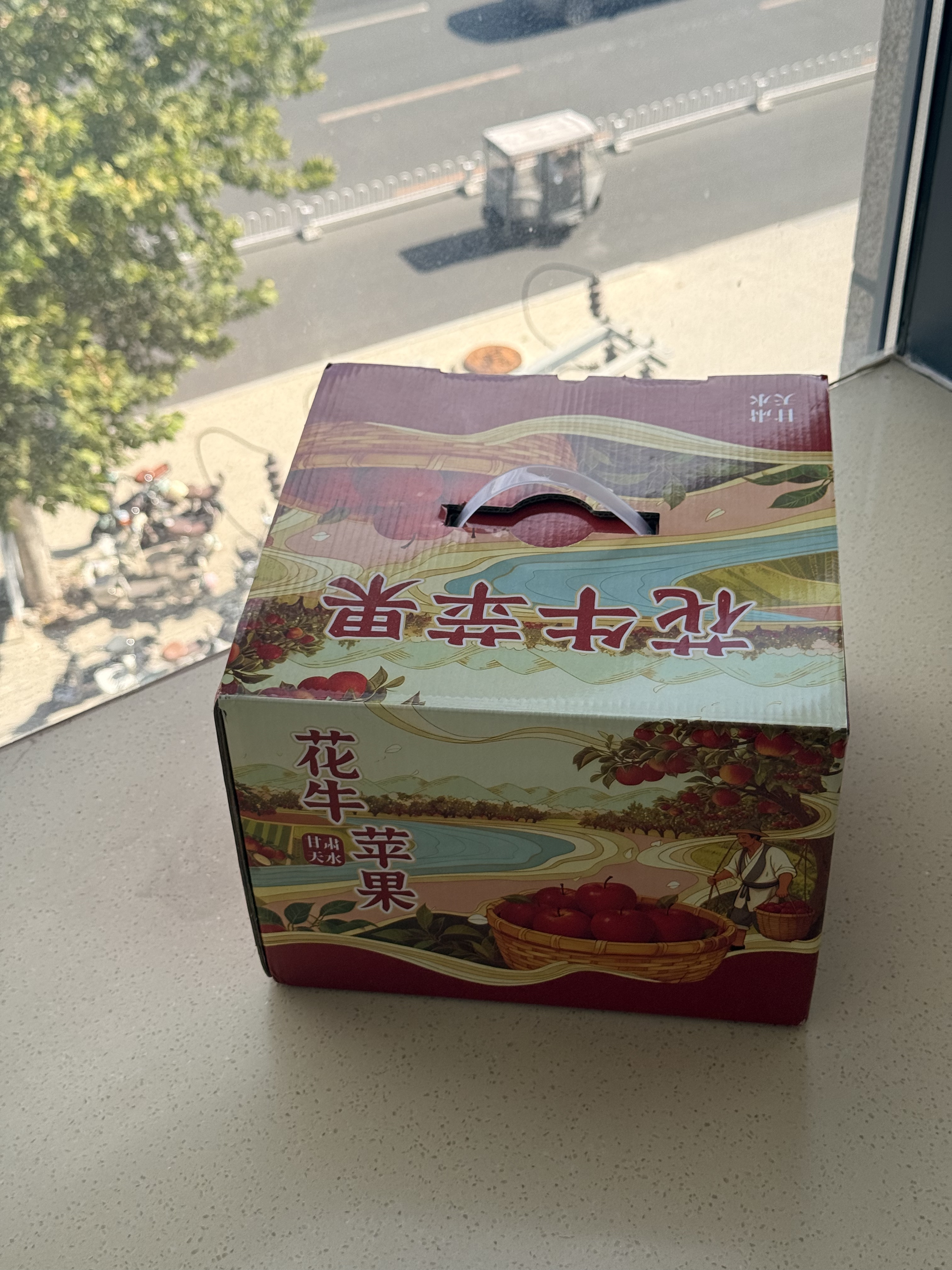 京地达水果礼盒装花牛苹果甘肃天水18枚净重10斤单果250g+源头直发包邮 实拍图