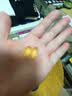 GNC健安喜深海鱼油omega3 dha辅助降血脂中秋送礼中老年240粒/瓶 实拍图