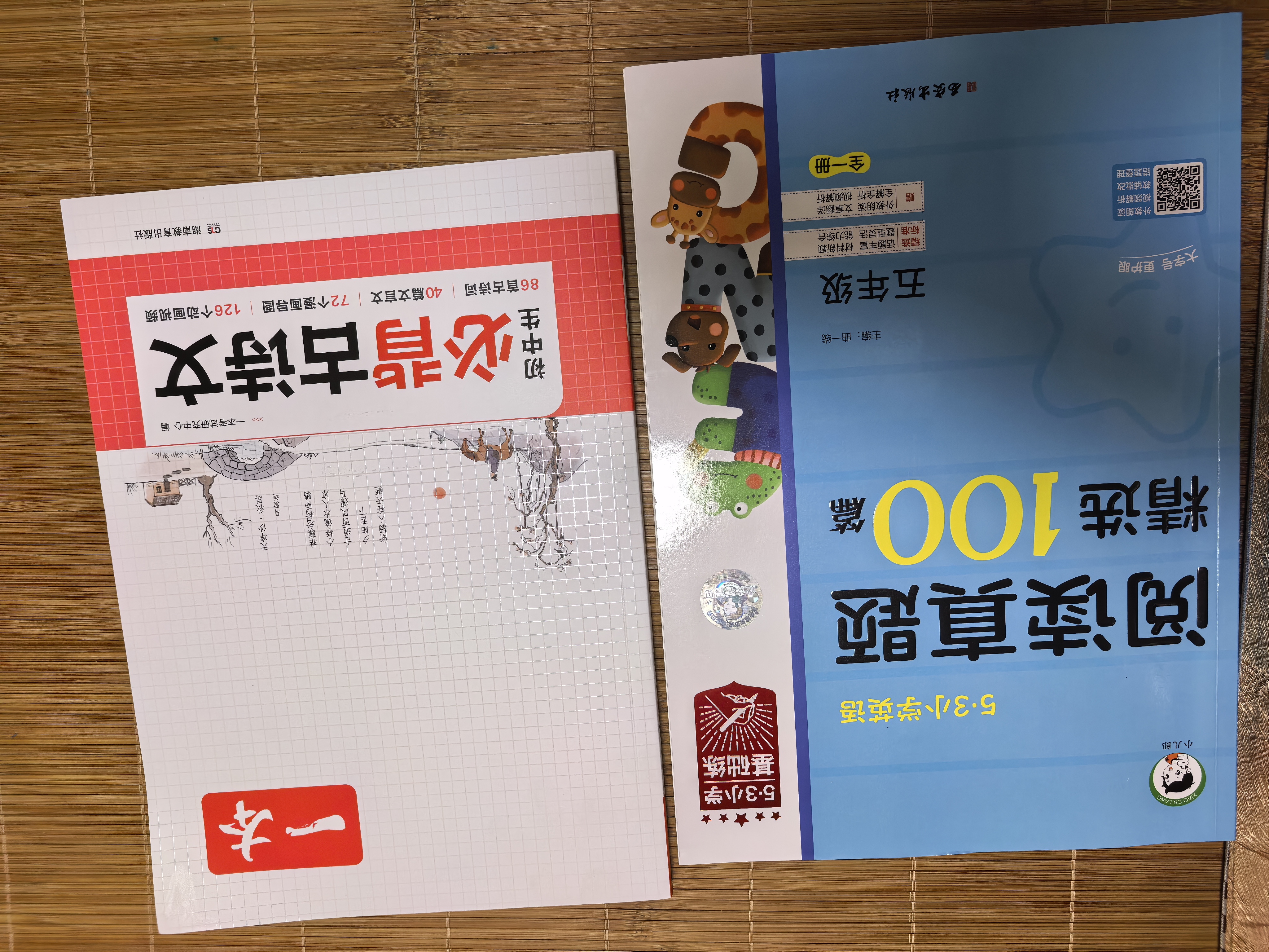 2026秋季53小学基础练 阅读真题精选100篇 英语 五年级全一册 开学季 实拍图