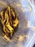科尔沁手撕风干牛肉干原味500g量贩装 内蒙特产肉干肉脯休闲解馋零食 实拍图
