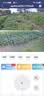 网络眼4G太阳能摄像头AOV室外无电无网终身免流高清户外监控器免插电360度无死角全景夜视 实拍图