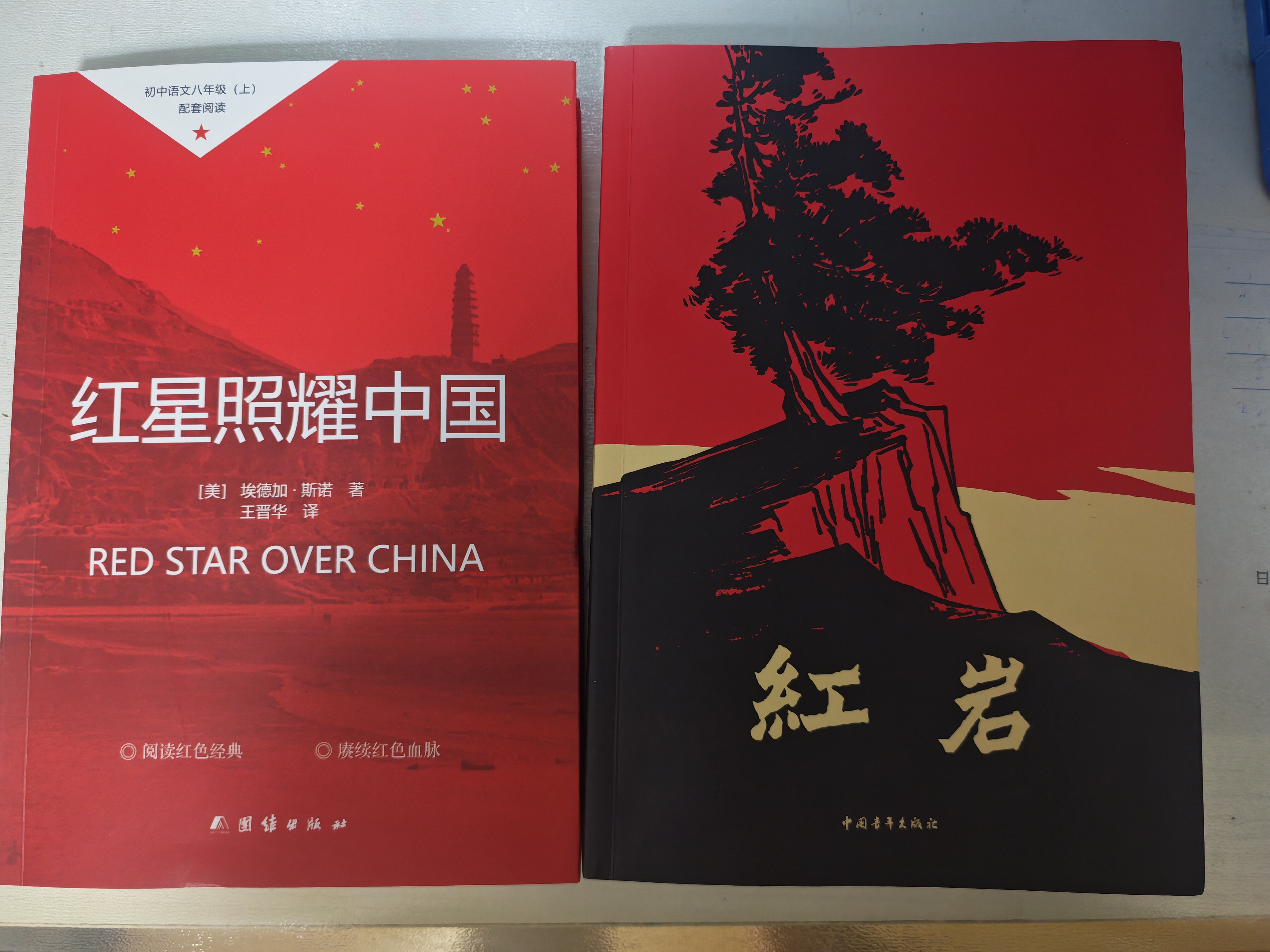 【全2册】红岩+红星照耀中国（新封面） 赠考点手册 八年级上册必读名著埃德加斯诺罗广斌杨益言江姐红色经典人教版教材配套阅读初中生课外读物课外书中考初二暑假阅读书籍万物复书 开学季 实拍图