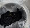 润虎茶叶武夷山桂花红茶正山小种浓香型中秋节茶叶礼盒装500g送长辈 实拍图