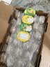 佳沛（zespri）新西兰金奇异果10粒巨大果146-175g猕猴桃中秋节礼品送水果礼盒 实拍图