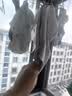 俞兆林男童内裤儿童三角短裤纯棉抑菌宝宝不夹屁屁小男孩中大童A类裤衩 实拍图