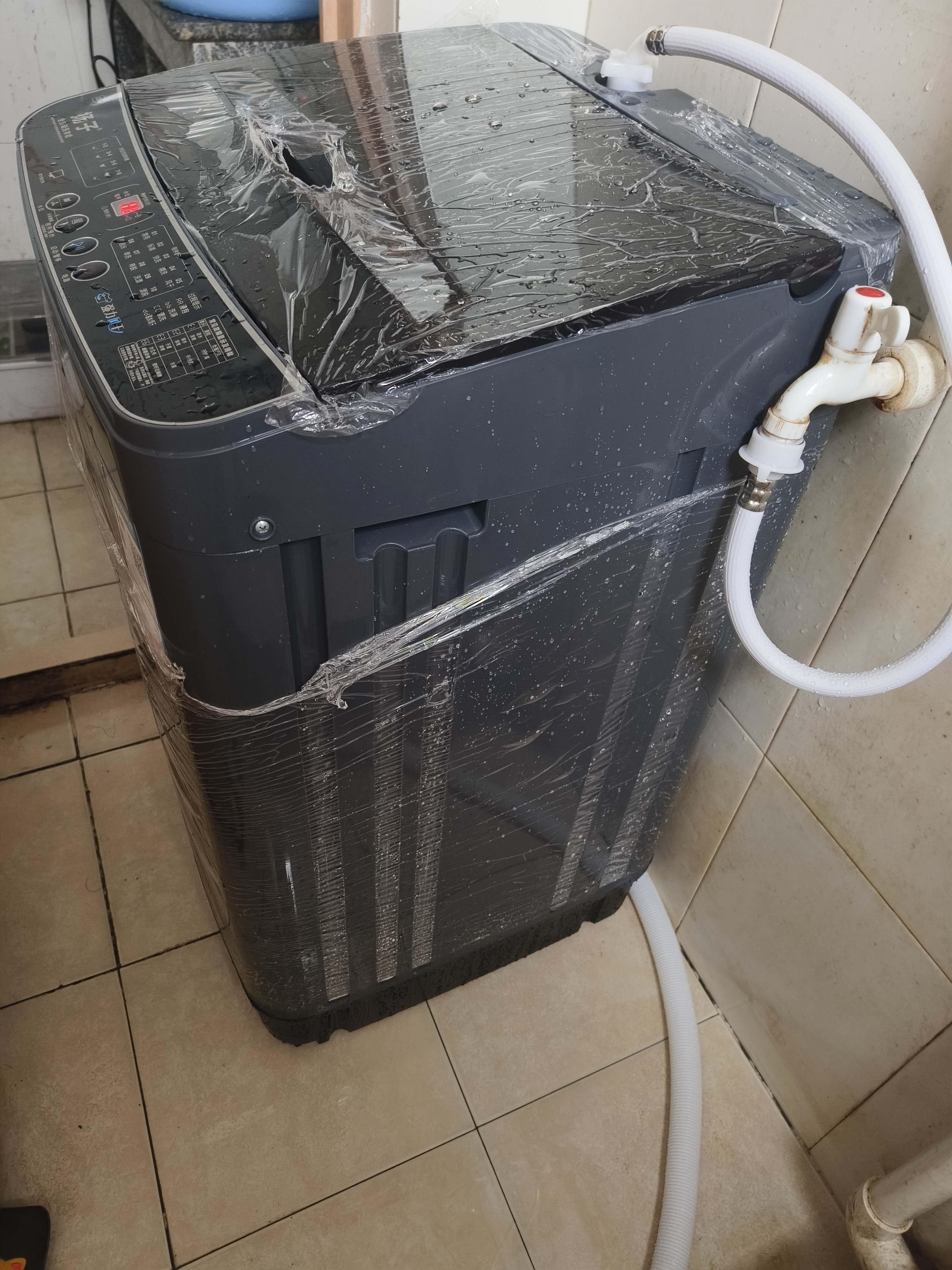 扬子【政府补贴15%】洗衣机全自动一级能效 家用大容量洗烘一体波轮 以旧换新出租房宿舍神器 10KG租房神器【一级能效+蓝光抑菌风干】 波轮 实拍图