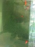 森森（SUNSUN）净水剂水族鱼缸过滤器过滤用净水水质澄清剂 净水灵125ml 实拍图