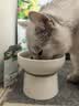 LEGENDSANDY蓝氏猎鸟乳鸽生骨肉冻干猫粮 全价成猫幼猫猫粮1.5kg 实拍图