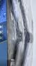 米其林（MICHELIN）无骨汽车雨刷雨刮器静音耐磨天然橡胶(适配99%)联系客服备注车型 实拍图