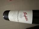 奔富（Penfolds）蔻兰山西拉/设拉子干红葡萄酒 750ml*6瓶 旋盖 【澳版】 实拍图