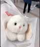 名创优品（MINISO）塔妮兔小兔子玩偶可爱趴姿小号白色毛绒公仔陪睡抱枕礼物送女友 实拍图