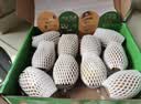 佳沛（zespri）新西兰金奇异果22粒巨大原箱146-175g猕猴桃中秋节礼品送水果礼盒 实拍图