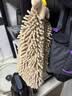 洁丽雅（Grace）雪尼尔擦手巾26*26cm*2条马上有钱加厚吸水速干挂式吸水巾 实拍图