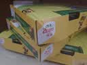 佳沛（zespri）金奇异果25粒原箱特大果134-146g猕猴桃中秋节礼品送水果礼盒 实拍图