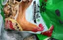 温氏供港土香鸡2斤 110天散养 莫氏鸡煲同款食材 冷冻农家走地鸡 实拍图
