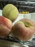 青州冬蜜桃500g 实拍图