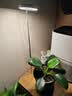 植物补光灯全光谱LED植物生长灯防太阳多肉补光灯种植6W定时调光 白色-太阳光（植物生长）+底座 可调节-高68CM 实拍图