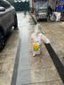 牧萌儿童雨衣男童女童防水全身雨披幼儿园小学生雨具 黄色小黄鸭 S 实拍图