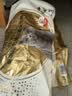 皇家猫粮 英短成猫粮 BS34 通用粮 12月以上 10KG 实拍图