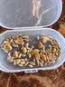 人民食品 生葵花籽仁新鲜原味去壳瓜子仁葵瓜仁烘焙原料零食250g 实拍图