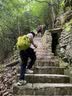 探险者（TAN XIAN ZHE）登山杖碳纤维徒步登山杖折叠专业户外登山杖伸缩超轻徒步装备拐棍 便携2只装-铝合金折叠靓丽黄 实拍图