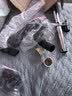 亿力工业级吸尘器商用家用装修美缝干湿吹三用 汽车车载吸水除尘器大吸力有线手持桶式吸尘机6263-15L 实拍图