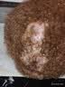 普安特复方酮康唑软膏乳膏猫藓狗藓猫癣狗狗皮肤病真菌感染掉毛瘙痒 实拍图