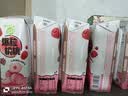 蒙牛真果粒白桃树莓味牛奶饮品240g×10盒 龚俊同款 中秋送礼礼盒 实拍图