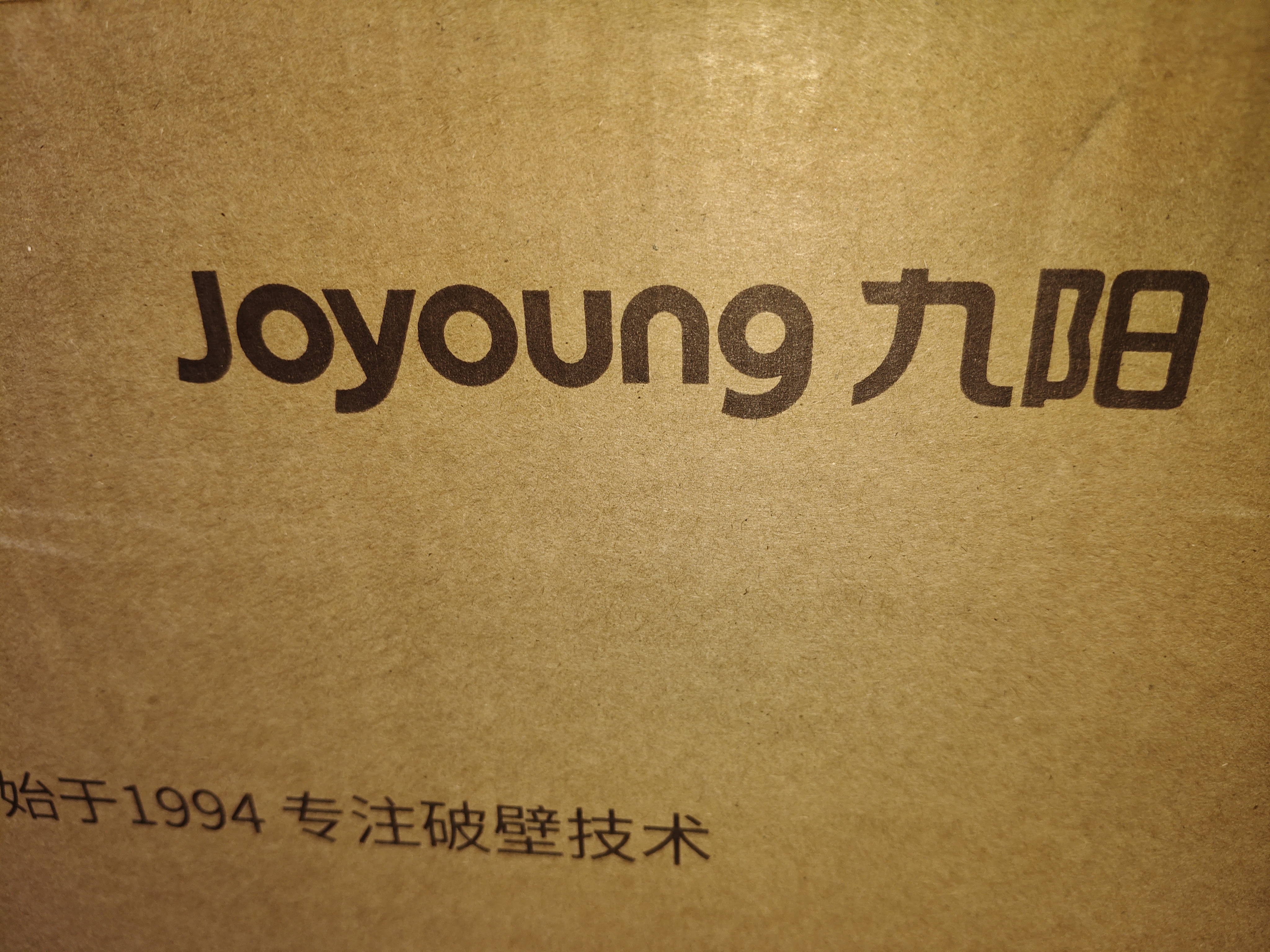 九阳（Joyoung）破壁机自清洗多功能全自动免煮家用轻音免滤低音小型3-4人1.2L豆浆机榨汁五谷杂粮辅食料理机P199 实拍图
