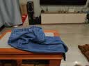 京东京造【已售30w件+】牛仔裤男士休闲裤子夏季男直筒高端新款 中蓝32 实拍图