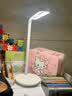 德尔【28年品牌】护眼阅读台灯宿舍床专用柔光防蓝光防近视儿童学习灯 实拍图