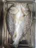 恒兴食品三去开背海鲈鱼1.05kg 3条装 鲜活去鳞去鳃去内脏中秋聚餐送礼 实拍图