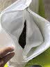 喜偌家纺 荞麦枕头枕芯套内胆套枕套纯棉内胆儿童枕头套枕头皮全棉枕套棉 单只 72cm*45cm 三层 实拍图